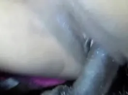 Desi Bhabi Viral Sex Videos